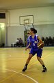 Basket 443013